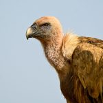 IMG_5205